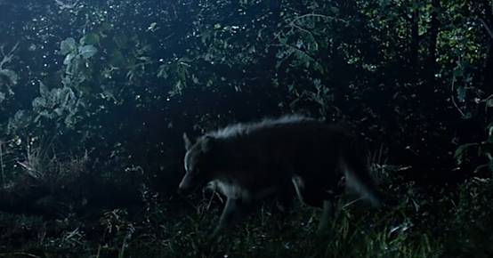 《殺破狼2》中的防水手機(jī)